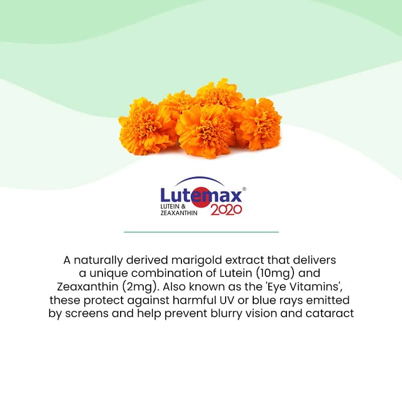 Melts Eye Care View 3