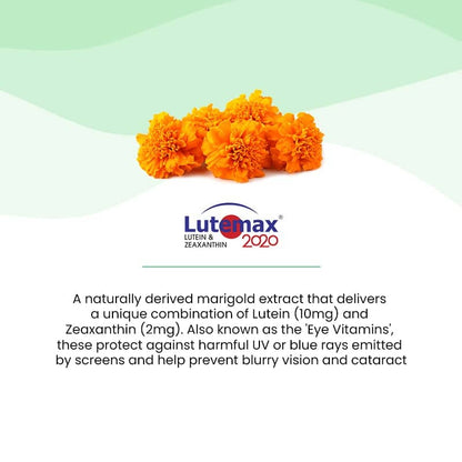 Melts Eye Care View 3